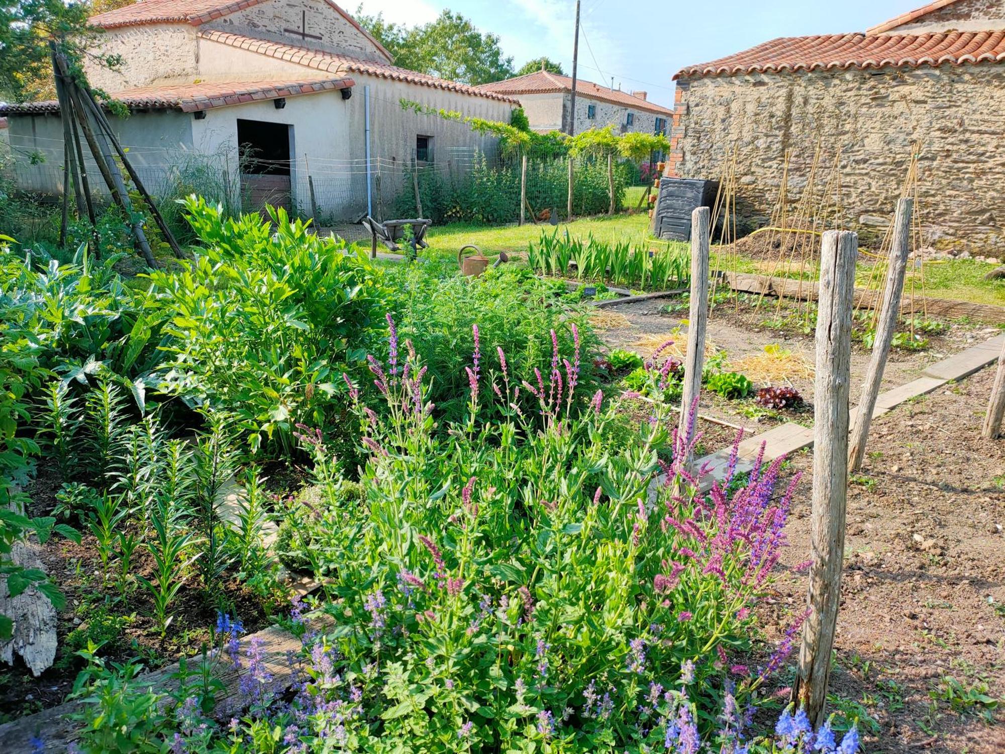 Le Vieux Logis De La Galocherie Sainte-Florence Zewnętrze zdjęcie